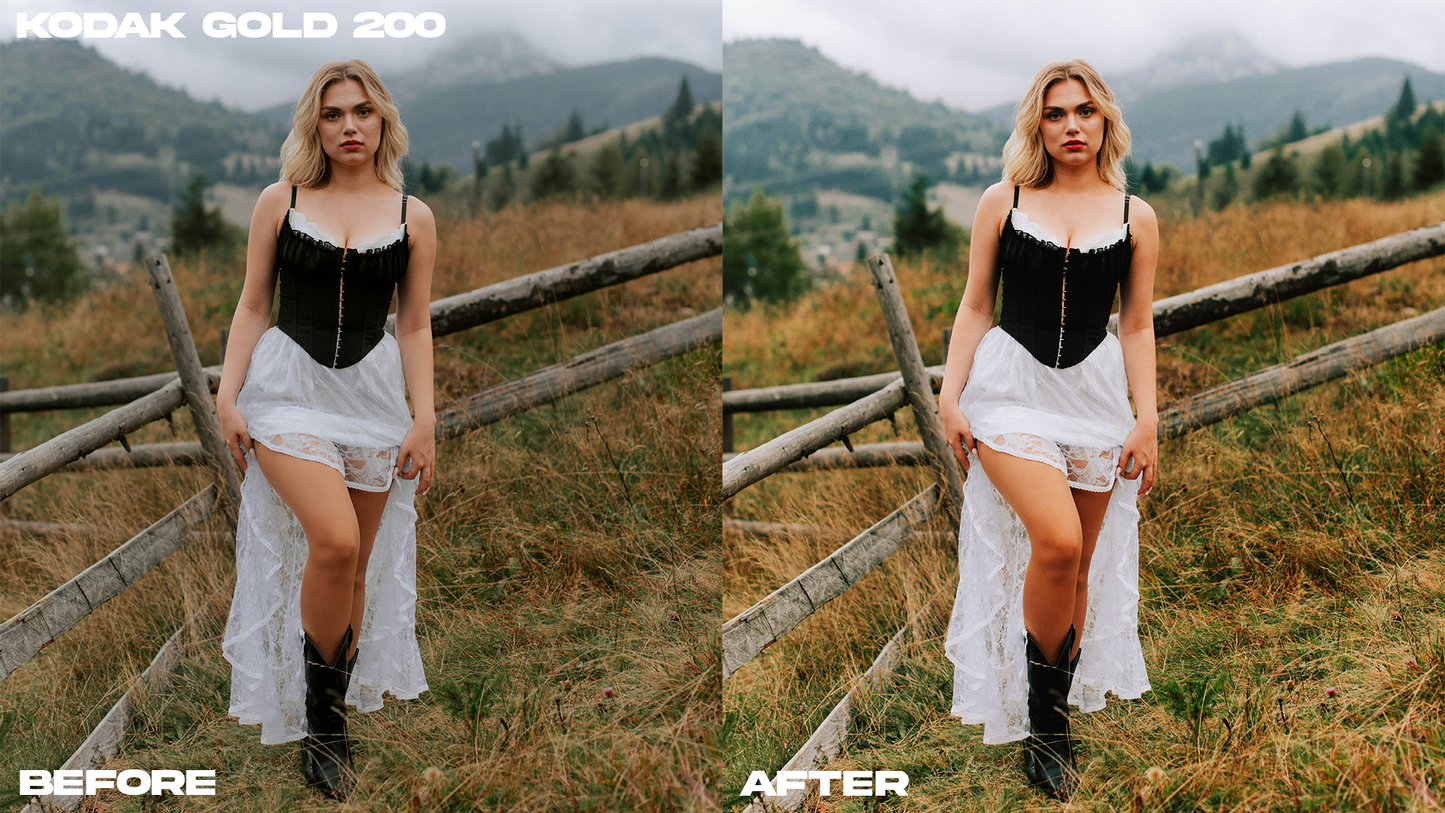 Kodak Gold Lightroom Complete Collection