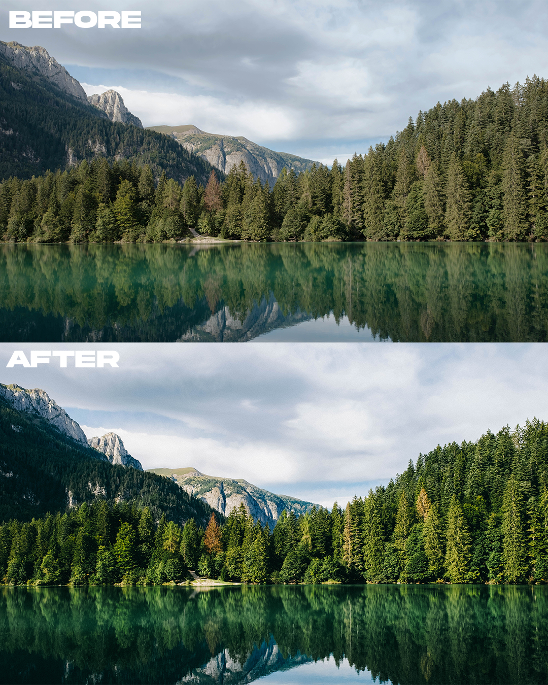 Fuji Superia | Lightroom Preset Collection