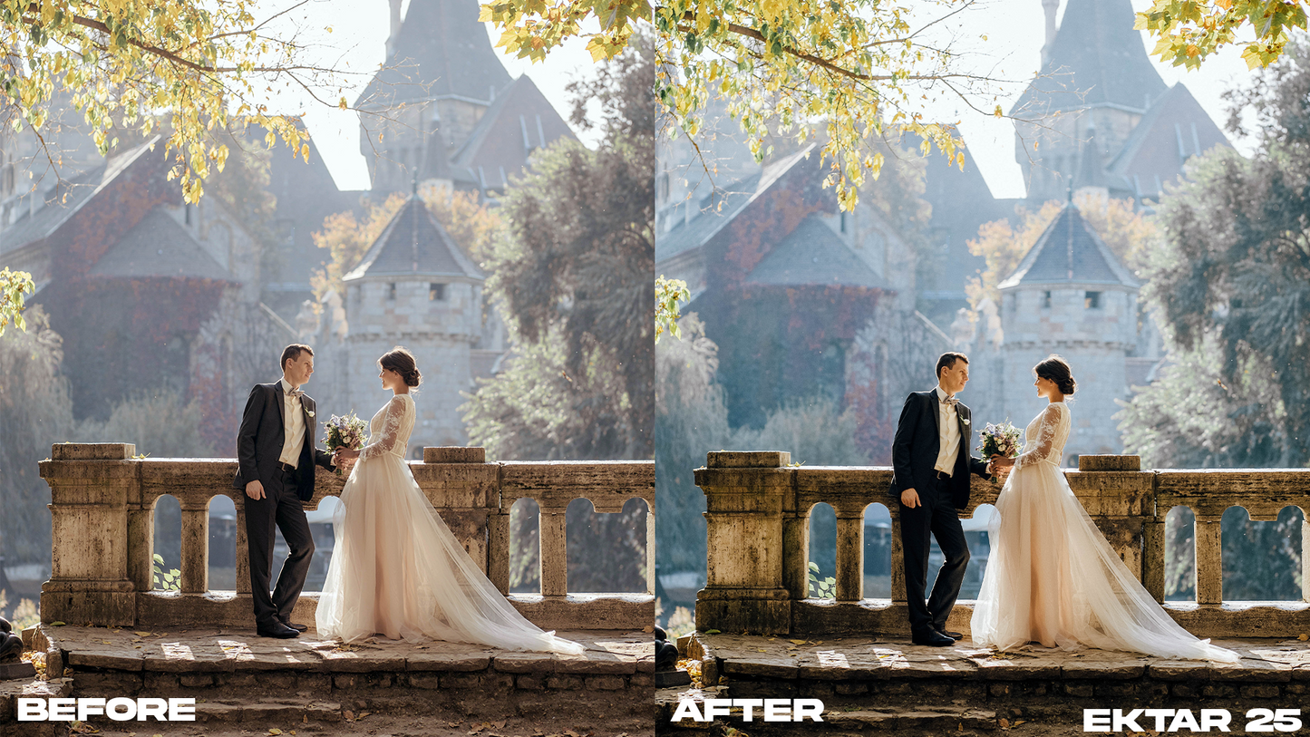 Film Emulation Lightroom Preset Master Collection (264 Presets)