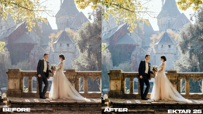 Film Emulation Lightroom Preset Master Collection (264 Presets)