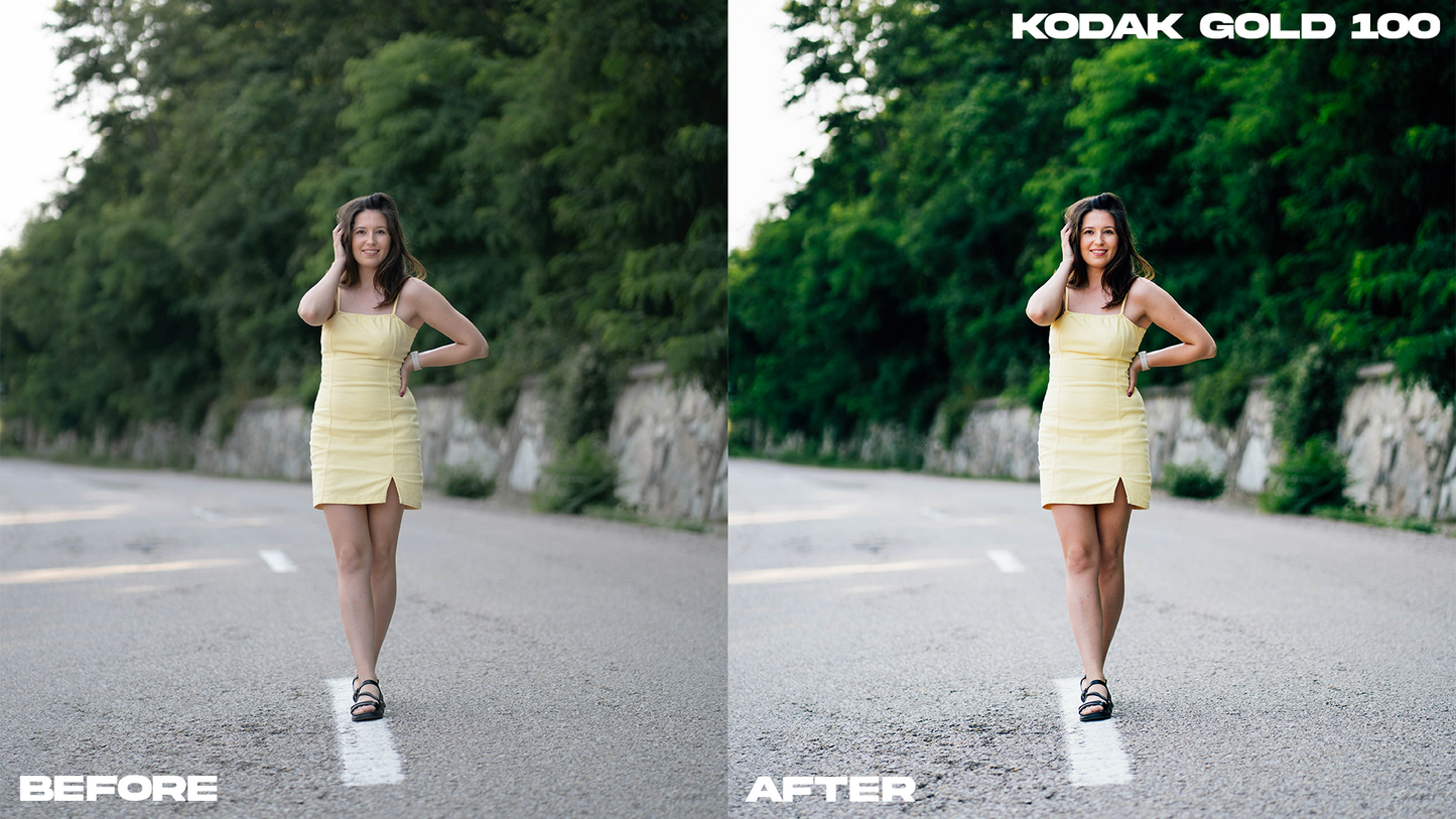 Film Emulation Lightroom Preset Master Collection (264 Presets)