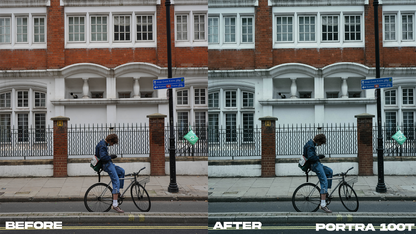Film Emulation Lightroom Preset Master Collection (264 Presets)