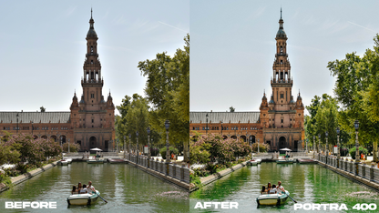 Film Emulation Lightroom Preset Master Collection (264 Presets)