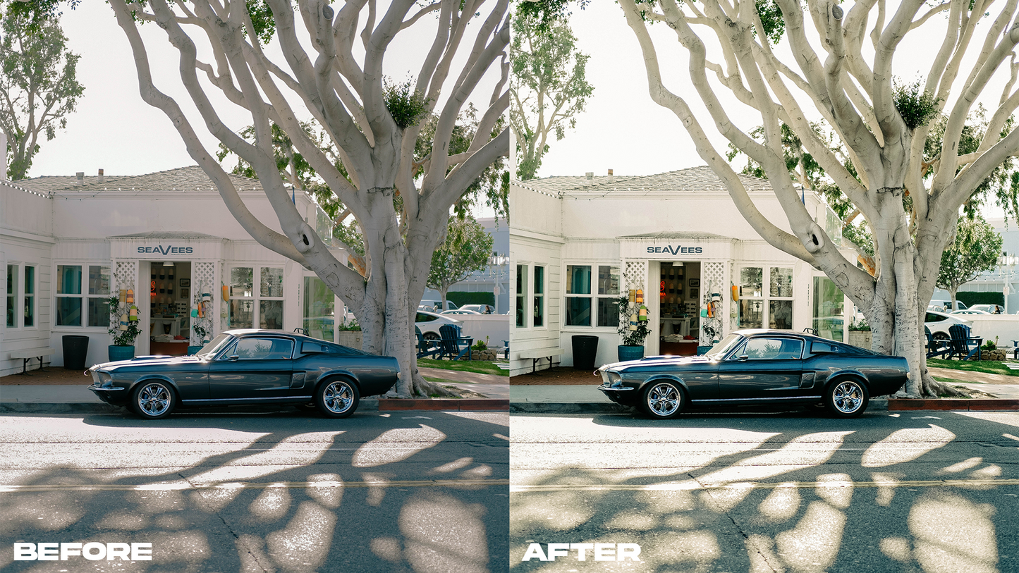 Sensia 100 | Lightroom Preset Collection