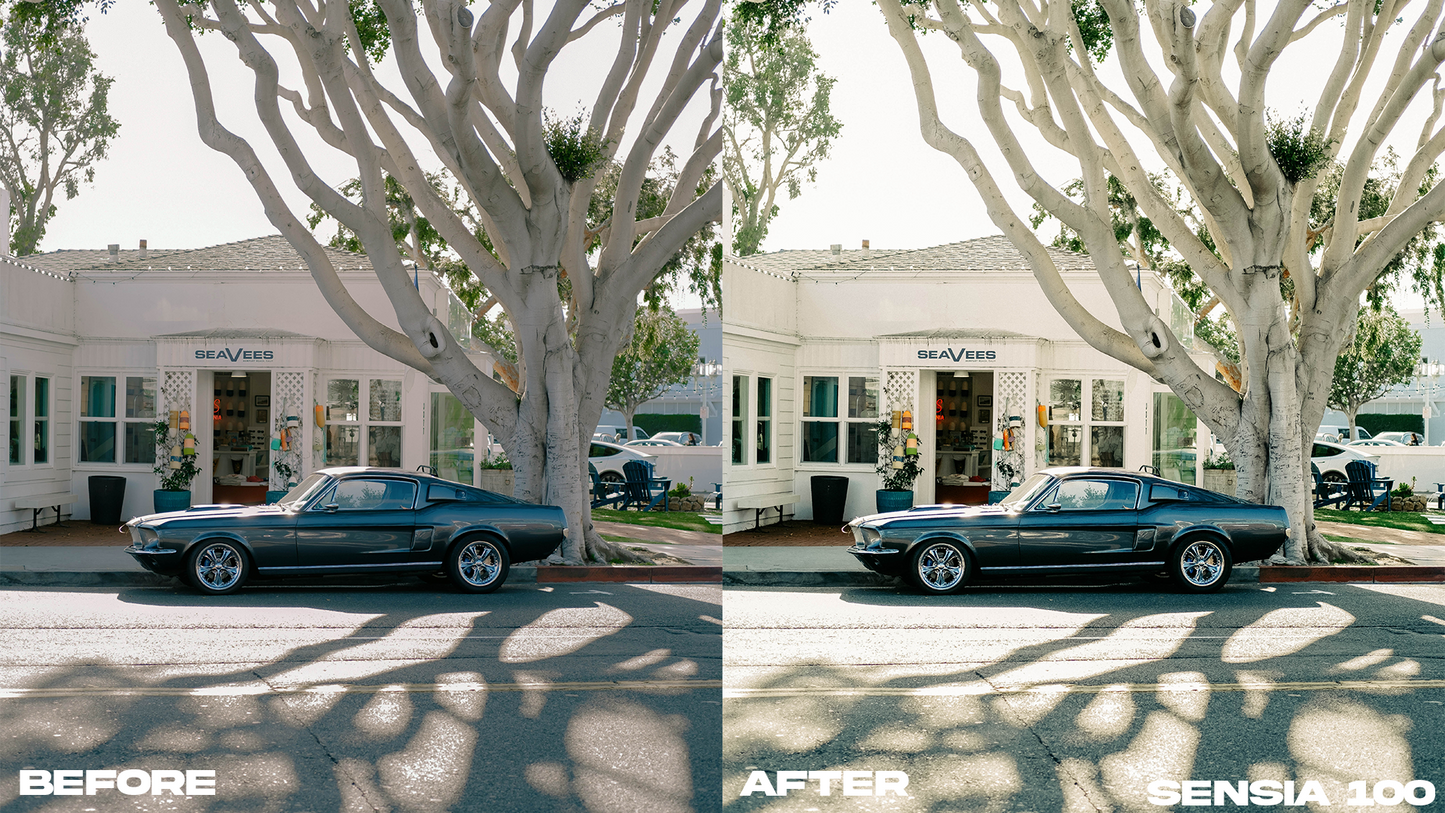 Film Emulation Lightroom Preset Master Collection (264 Presets)