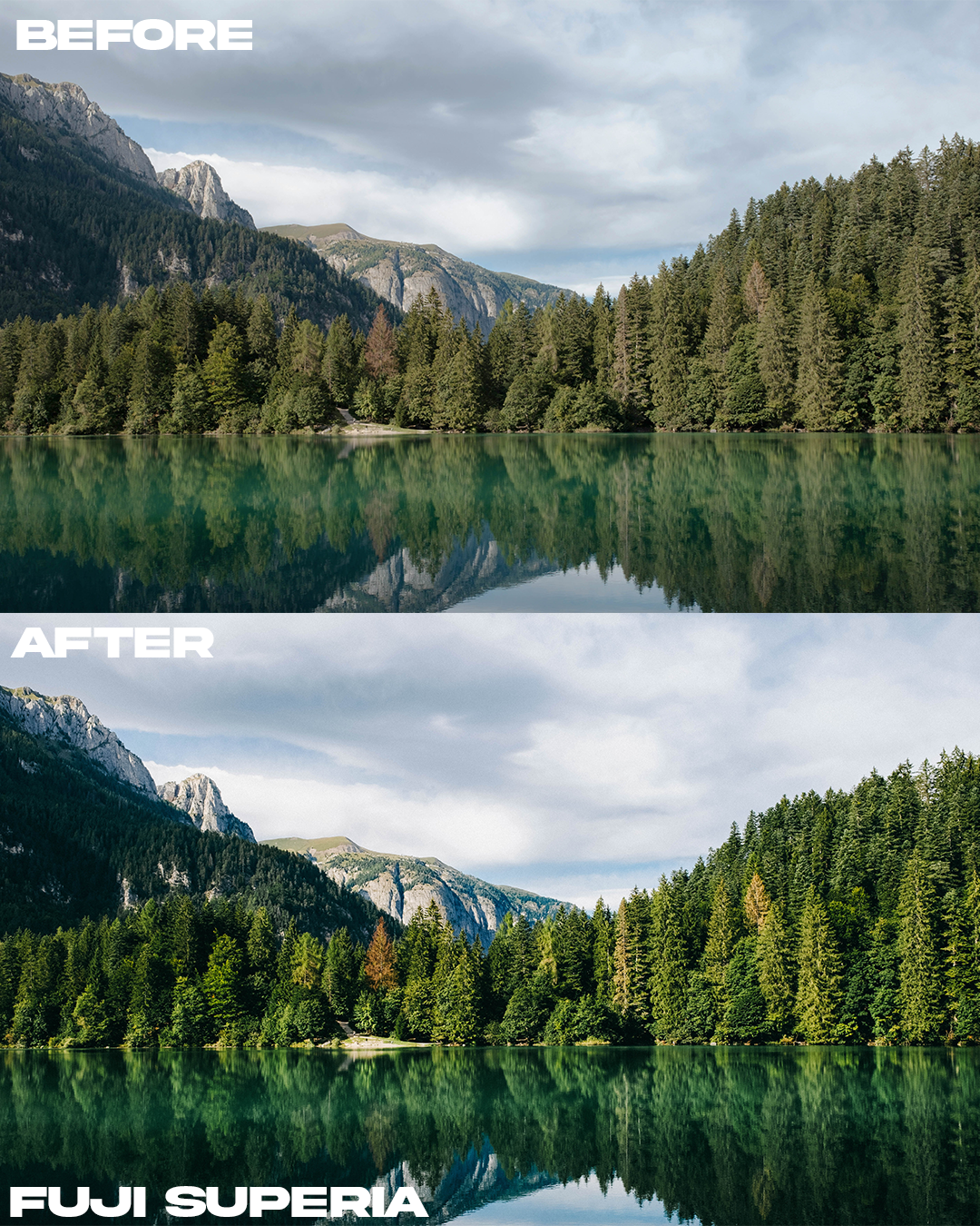 Film Emulation Lightroom Preset Master Collection (264 Presets)
