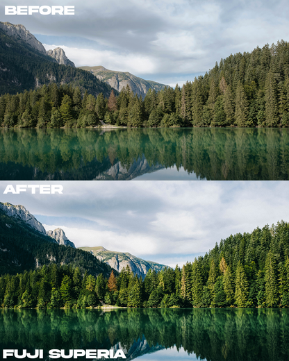Film Emulation Lightroom Preset Master Collection (264 Presets)